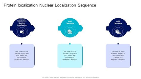 protein localization nuclear localization sequence  powerpoint  google