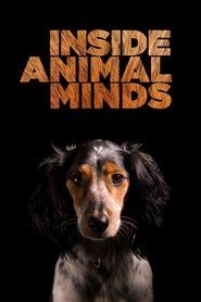 Inside Animal Minds (2014) - AZ Movies