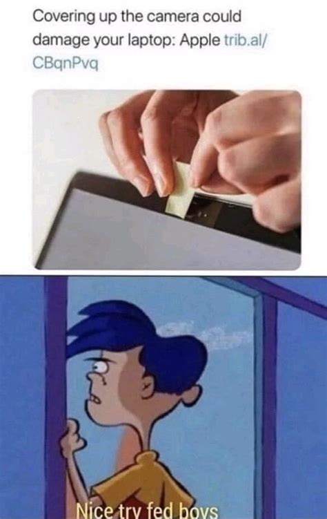 Gay Lil Reptilian Creature On Tumblr