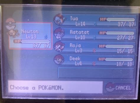 Strokes Hardcore Generationlocke Leafgreen Leg I R Nuzlocke
