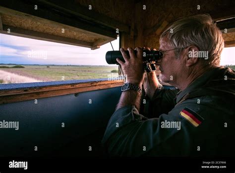 Hunter On A High Seat Stock Photo Alamy