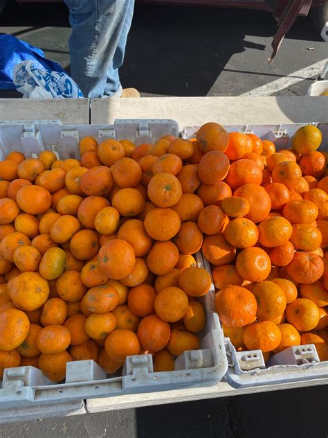 Santa Maria Certified Farmers Market | Santa Maria CA