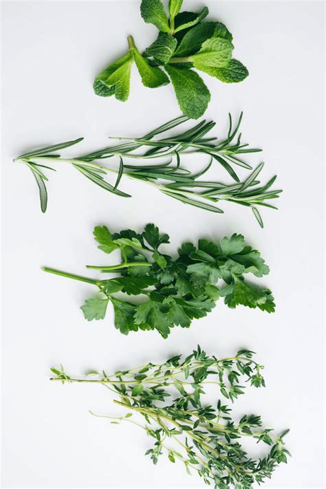 mixed herbs homemade yummieliciouz