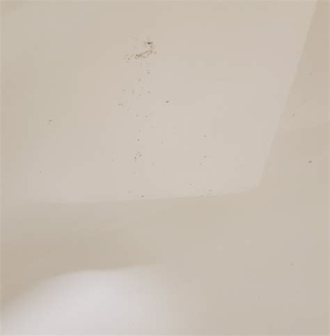 Guests review the doubletree by hilton hotel san antonio downtown stays 10