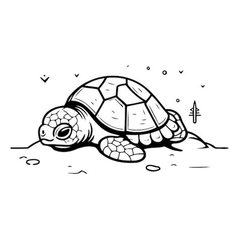 Tortue De Dessin Anim Sur Le Sable Illustration Vectorielle D Une