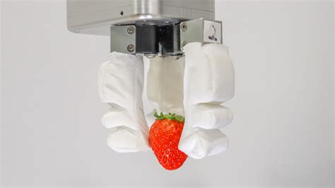 engineers developed  human hand inspired soft robotic gripper