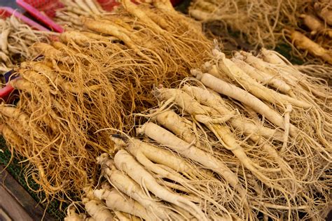 The 10 Ginseng Benefits You Must Know About – TheFitBay