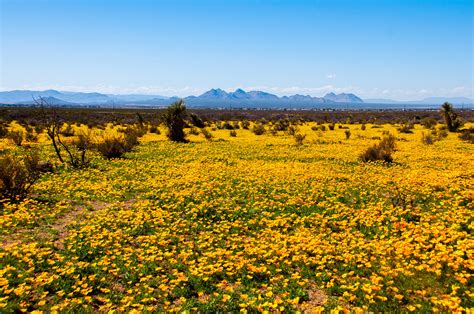 Incredible Free Campsites Near Las Cruces New Mexico Drivin Vibin