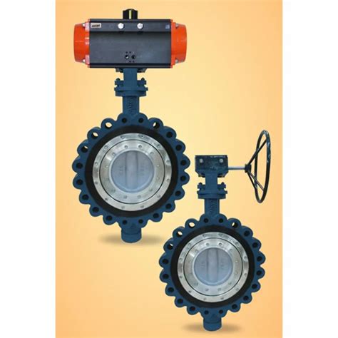 Triple Offset Butterfly Valve At ₹ 3100piece Makarpura Vadodara