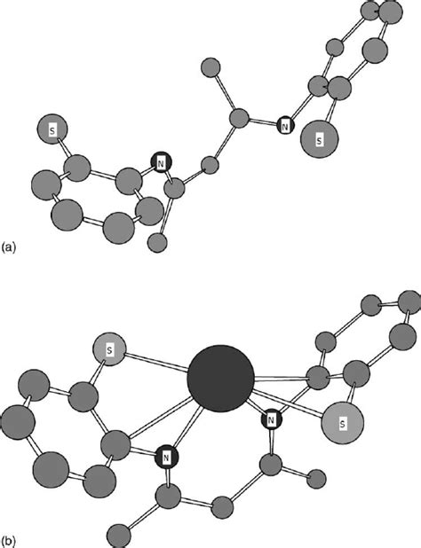 Optimal Conformations Of Smph Before A And After B Complexation