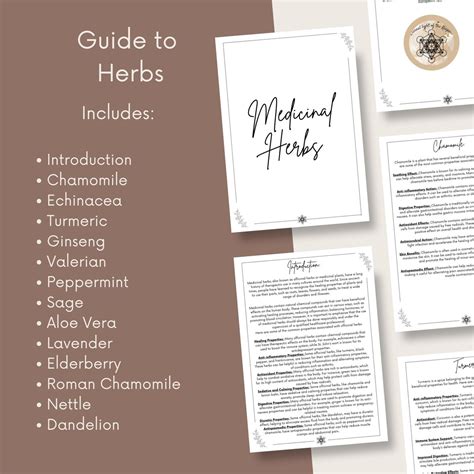 Printable Herbal Medicine Guide A4 Pdf On Medicinal Herbs Herbal
