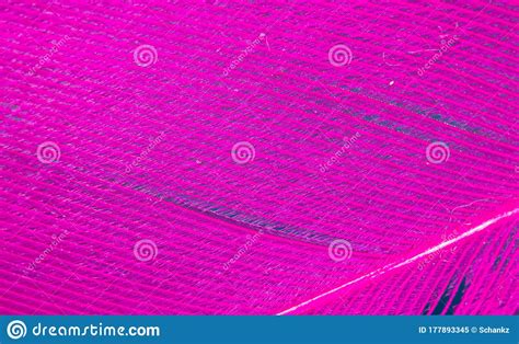 Pink Feather On A Blue Background Stock Image Image Of Natural Macro