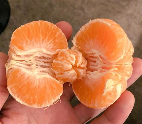 orange   orange today rmildlyinteresting