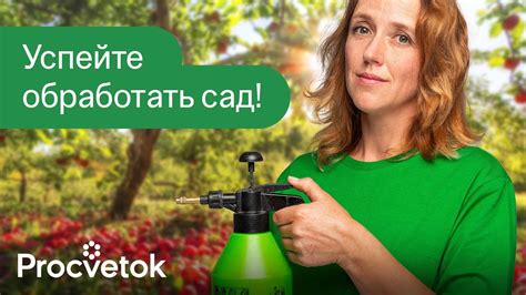 ОБРАБОТАЙТЕ ЭТИМ ПЛОДОВЫЕ ПОСЛЕ СБОРА УРОЖАЯ! Самая эффективная ...