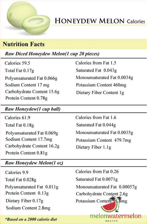 How Many Carbs in a Slice of Honeydew Melon: A Comprehensive Guide - [Updated July 2026 ]