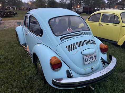 What can you tell me about these? : r/beetle