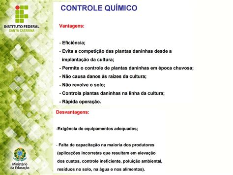 CONTROLE DE PLANTAS DANINHAS Ppt Carregar