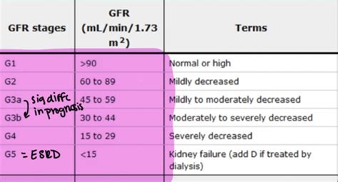 CLIN MED 3 Chronic Kidney Disease CKD Flashcards Quizlet