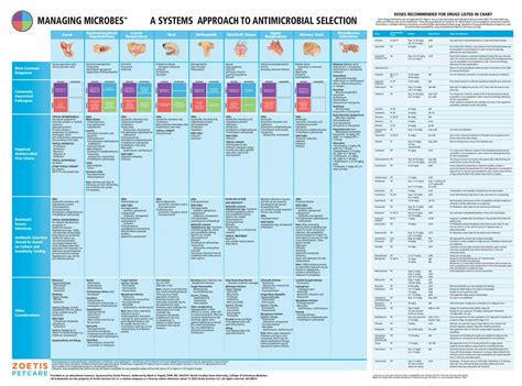 Managing poster microbiologia antibioticos | PDF