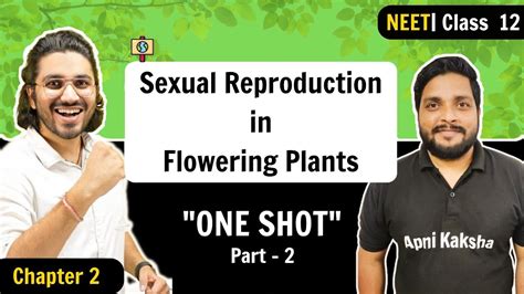 Sexual Reproduction In Flowering Plants One Shot Part 2 Neet 2023 Chapter 2 Class 12