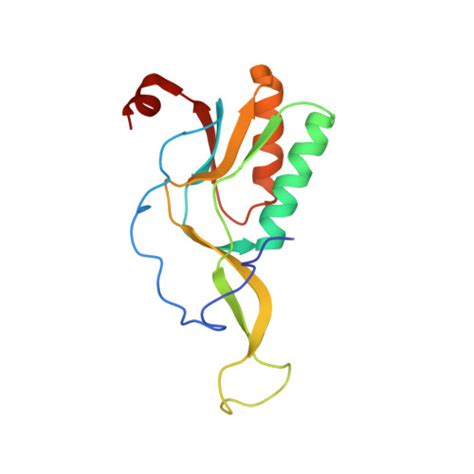 Rcsb Pdb 5hau Crystal Structure Of Antimicrobial Peptide Bac7 1 19 Bound To The Thermus