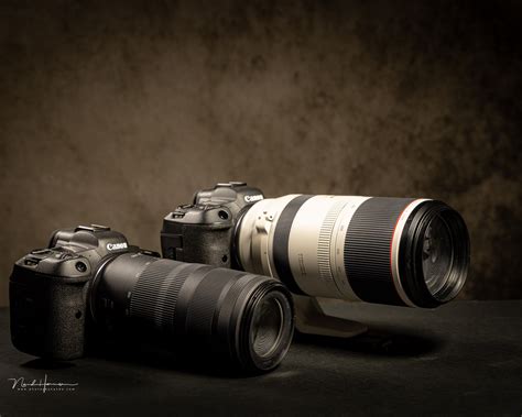 We Review The Canon Rf 100 400mm F56 8 Is Usm An Affordable