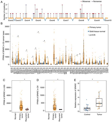 SPARC drives tumorigenesis through abnormal changes in expression but ...