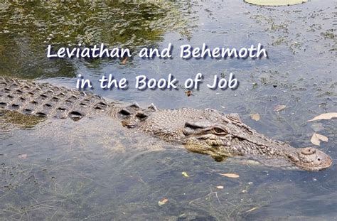 Leviathan and Behemoth: What Are They? - A Clay Jar