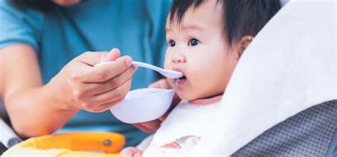 12 healthy and practical foods for 1-year-olds