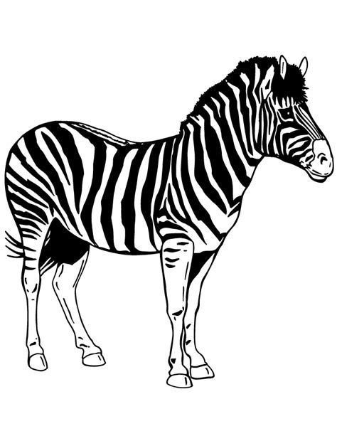 Zebra Print Coloring Pages - Coloring Home