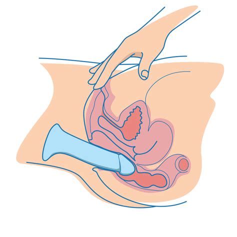 Anal Dildos Everything You Need To Know School Of Squirt