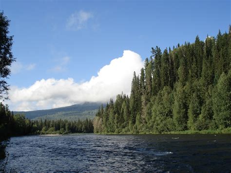 Taiga Pictures | Download Free Images on Unsplash