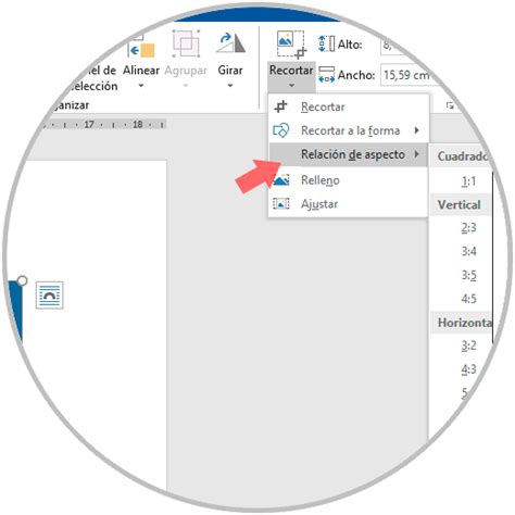 Cómo Cambiar Tamaño Y Forma De Una Imagen En Word 2019 Y Word 2016