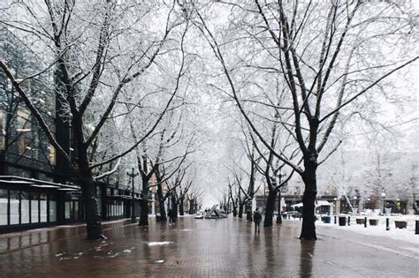 Snow in Seattle: Readers share their photos from around the region ...