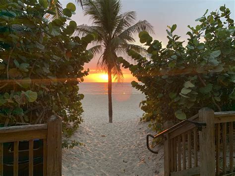 585 Best Fort Lauderdale Images On Pholder Florida Exoticspotting And Amateur Room Porn