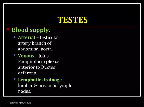 Male Reproductive System I Ppt