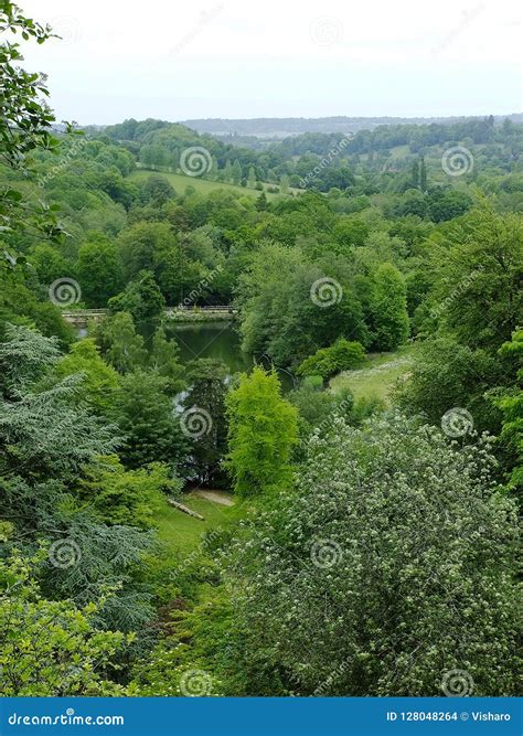Surrey Hills stock photo. Image of view, walk, shrubs - 128048264