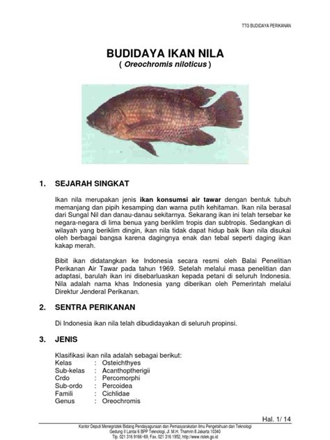 Budidaya Ikan Nila Oreochromis Niloticus