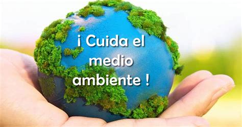 ¿ Cómo Proteger El Medio Ambiente Salud Ambiental Medio Ambiente