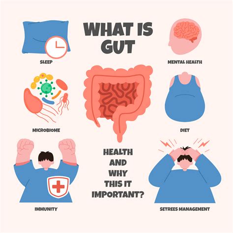 Gut Health and Overall Wellness: How Your Stomach Affects Your Body