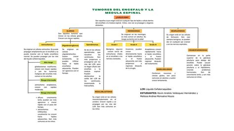 Tumores Del Enc Falo Y La Medula Espinal Melissa Andrea Monsalve