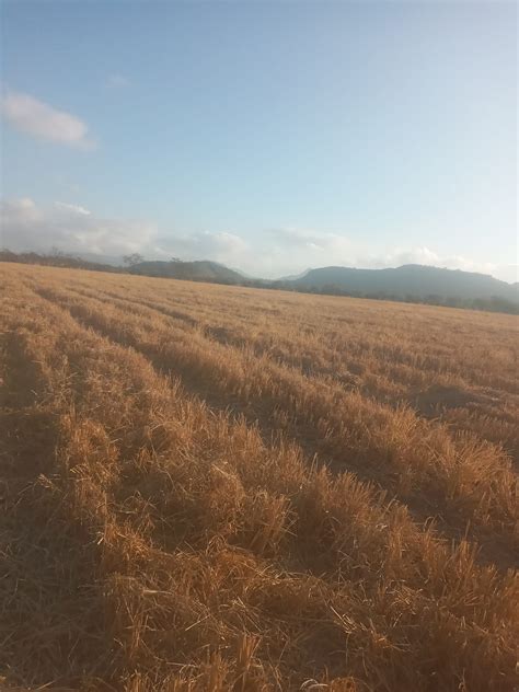 México City Tours - Edificio el pantalon santa fe | Facebook