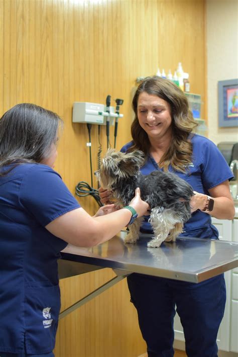 East Lohman Veterinary Clinic | Las Cruces NM