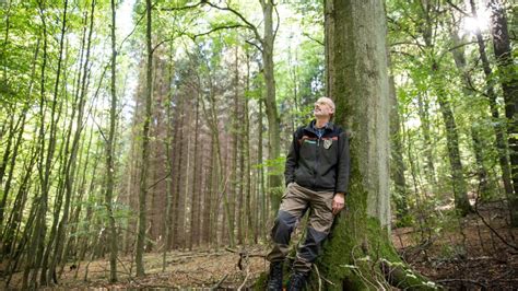 Im Wald Mit Bestsellerautor Peter Wohlleben