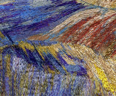 Художественная вышивка Кэрол Нейлор (Carol Naylor)