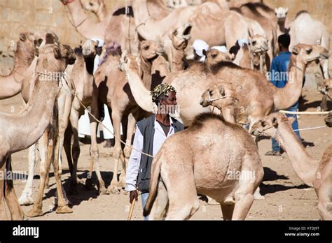 Desert Town Eritrea Hi Res Stock Photography And Images Alamy