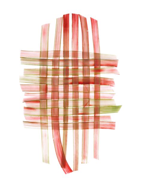 strawberries and rhubarb | STILL