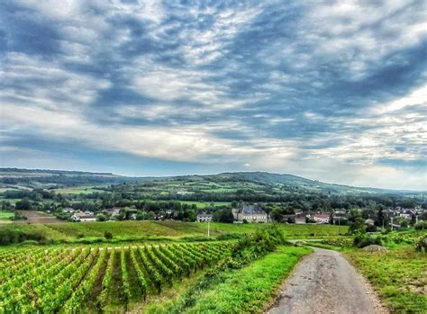 Vosne Romanee France Photograph by Nadia Seme - Fine Art America