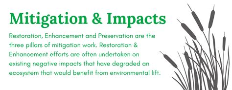 understanding mitigation waterman mitigation partners