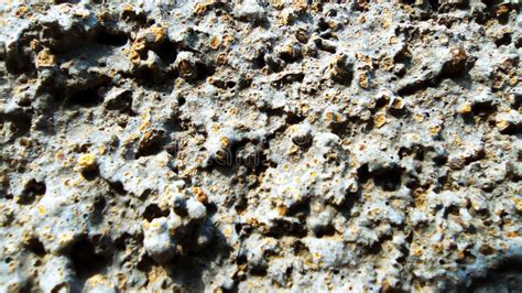 texture   concrete stock image image  pattern